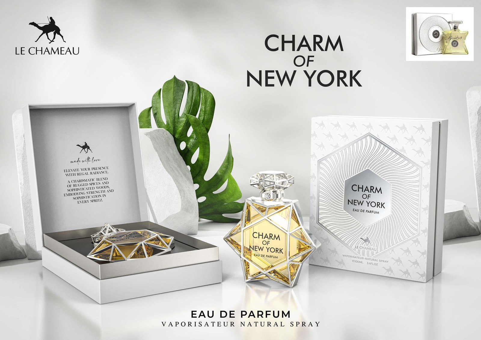 Charm of New York